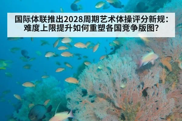 国际体联推出2028周期艺术体操评分新规：难度上限提升如何重塑各国竞争版图？