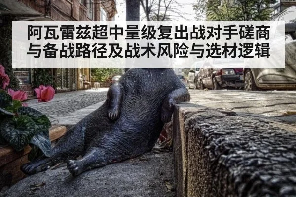 阿瓦雷兹超中量级复出战对手磋商与备战路径及战术风险与选材逻辑